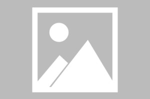 bob半岛体育app下载-2026中网钻石社区六·一系列活动精彩纷呈|网球|比赛|球员|青少年|挑战赛