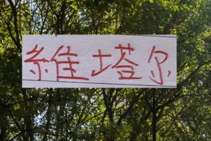 bob半岛体育官方入口-上个赛季中超前4的十号 就海港10号维塔尔助攻最多 出场也最多
