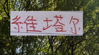 bob半岛体育官方入口-上个赛季中超前4的十号 就海港10号维塔尔助攻最多 出场也最多
